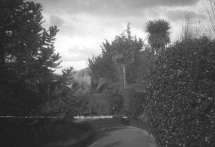 Park (Lateinamerika-Aufenthalte 1928/1942 – 1. Chile 1928)