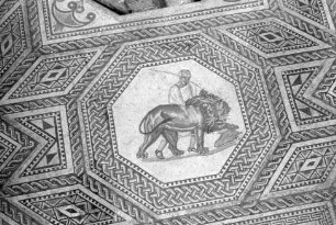 Nennig: Römischer Mosaikfußboden, Ausschnitte