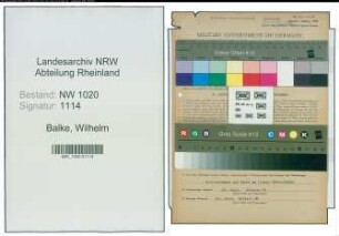 Entnazifizierung Wilhelm Balke , geb. 11.03.1898 (Haendler)