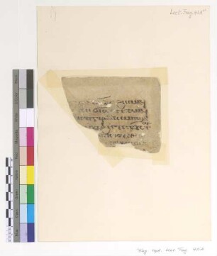 [Lectionary] : Fragm. copt. Pischoi Lect. Frag. 43