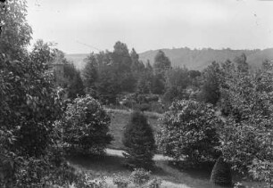 Burgruine mit Park