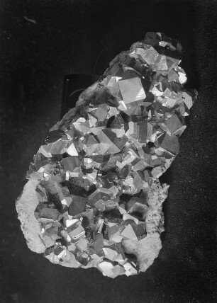 Freiberg. Mineralogische Sammlung, Bleiglanz