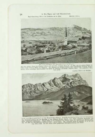 Fels- und Waldlandschaft in den Bayerischen Alpen