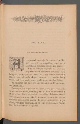 Capítulo VI - Los temores del cariño