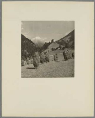 Weg zum Wiesenhof bei Mayrhofen