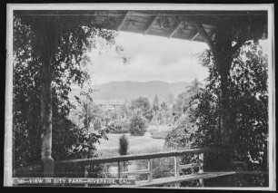 Riverside. View in City Park, Riverside, Cal.