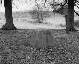 Gedenkstein; Lauterbach, Eckelsgarten