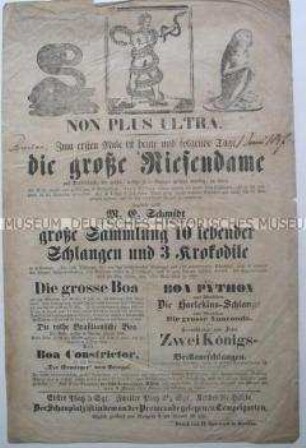 Werbezettel für die Schaustellung einer Riesendame und Präsentation von Schlangen; Breslau, Juni 1847