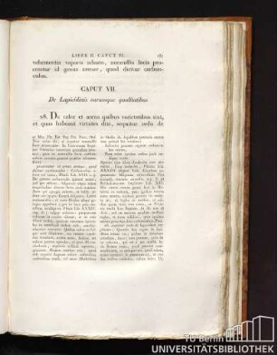 Caput VII. De Lapicidinis earumque qualitatibus
