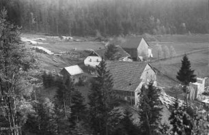 Das Sägewerk : Blick auf ein Sägewerk bei Lohberg