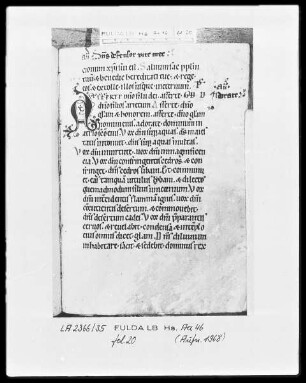 Psalterium cum Canticis — Initiale A, Folio 20recto