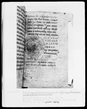 Hs.181 & Psalterium & fol 57