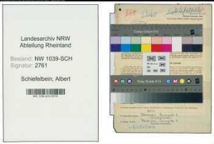 Entnazifizierung Albert Schiefelbein , geb. 04.01.1904 (Beamter)