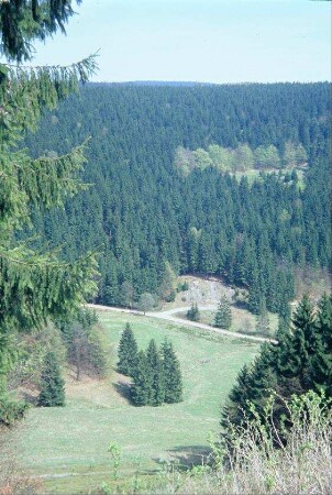 Umgebung des Ortes: Tal mit Wegen, Einzelbäumen, Wald