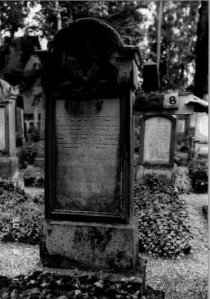 Grabstein 538