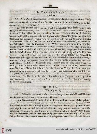 III: Muskeln (in Weingeist)