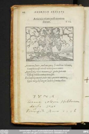 Amicitia etiam post mortem durans. XII.