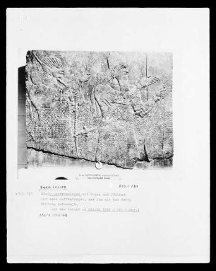 König Assurnasirpal, Relief aus dem Palast von Kalakh