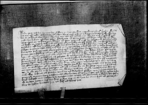 Prior und Konvent des Augustinerklosters zu Tübingen verkaufen Eberhard von Gomaringen als freies Eigen eine Wiese von zwei Mannmahd zu Hinterweiler und 2 lb. h. Gült zu Gomaringen um 40 lb. h.