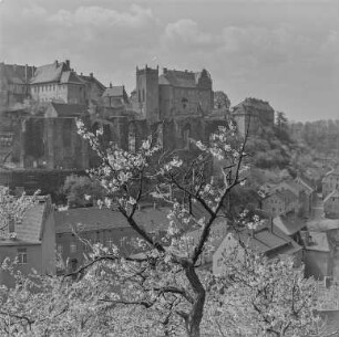 Bautzen im Frühling : Bautzen. Blick zur Altstadt mit Ortenburg und Ruine der Nikolaikirche