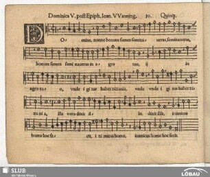 10. Domine non ne bonum