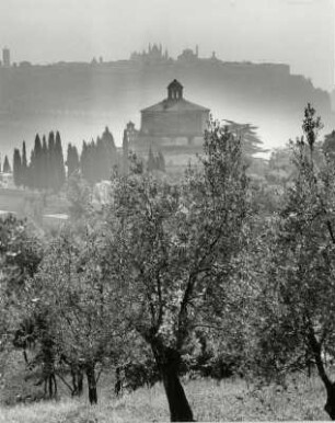 Blick auf Orvieto