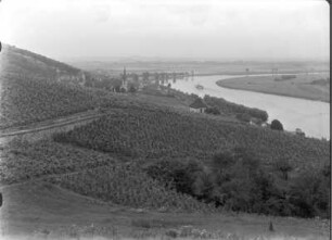 Auftrag Schulmuseum Dresden. Serie "Elbe". Groß Zernosek (Velké Žernoseky). Ortsteilansicht mit Kirche. Blick über einen Weinberg und zum Elbbogen