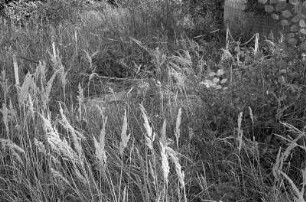 Liebenwalde