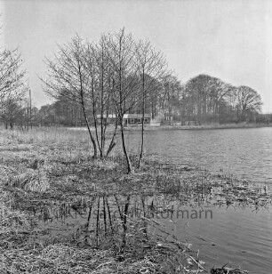 Lütjensee: Blick über den See: vorn Wiese, Schilf und Bäume: links Gelände des Campingplatzes: hinten Holzhaus mit Gastronomie und Toiletten: dahinter Wald