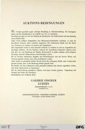 Auktionsbedingungen