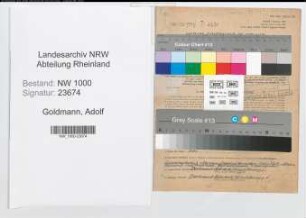 Entnazifizierung Adolf Goldmann, geb. 04.06.1894 (Polizeibeamter)