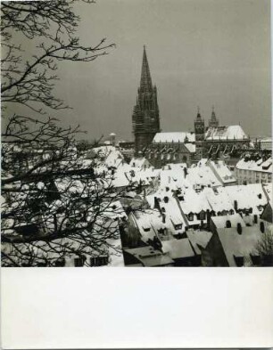 Freiburger Altstadt und Münster im Winter