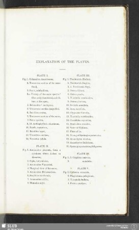 Explanation of the Plates