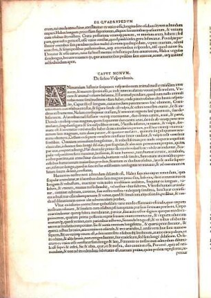 Capvt Nonvm, De sceleto Vespertilionis.