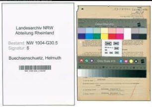 Entnazifizierung Helmuth Buechsenschuetz , geb. 11.01.1902 (Prokurist)