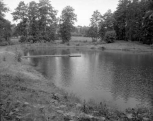 Vogtland (nahe Schöneck). Herrenteiche. Blick über den Teich