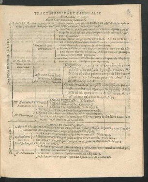 Tractatus VI. Partis Specialis. De Anima.