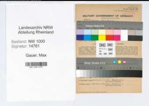 Entnazifizierung Max Gauer, geb. 13.03.1906 (Lagerist)
