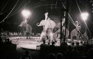 Circus Krone, Hannover, 1982