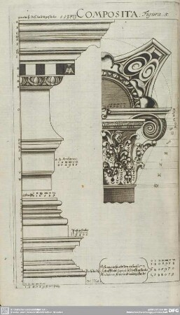 Composita. Figura 5.