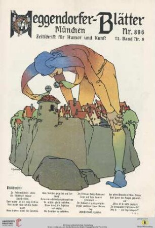 Nr. 896