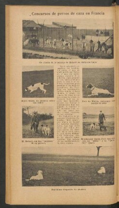 Concursos de perros de caza en Francia