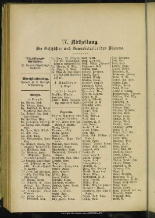 IV. Abtheilung. Berufsklassen und Gewerbebetriebe : Abtheilung. Die Geschäfts- und Gewerbetreibenden Plauens
