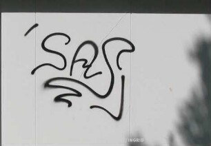 SAS