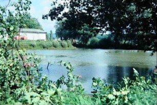 Fischteich am südlichen Ortsausgang in Richtung Sichelreuth