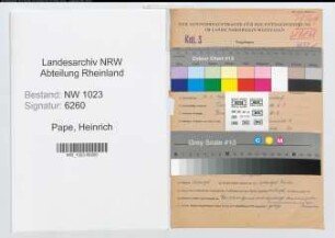 Entnazifizierung Heinrich Pape , geb. 13.04.1909 (Finanzinspektor)
