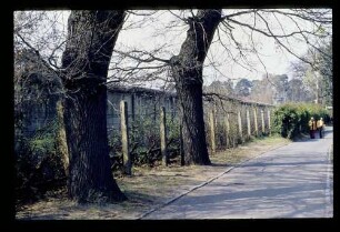 Steinstücken 17.4.76.