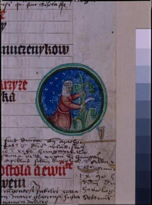 fol. 7r, Miniatur