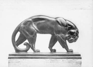 Schreitender Leopard