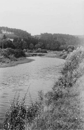 Donauufer : Blick auf den Uferbereich der Donau